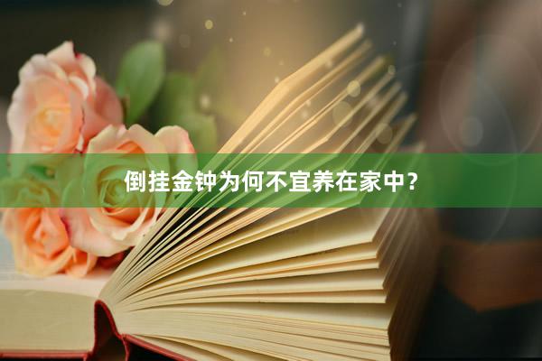 倒挂金钟为何不宜养在家中？