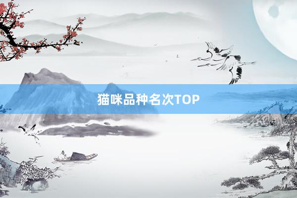 猫咪品种名次TOP